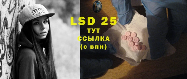 прущий лед Горняк