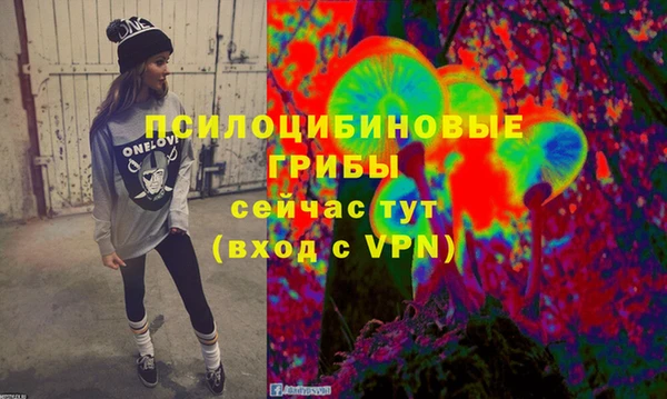 альфа пвп Горнозаводск