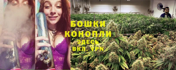 марки lsd Гусиноозёрск