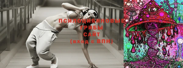 альфа пвп Горнозаводск