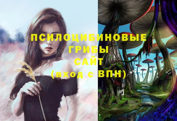 кокаин Гусь-Хрустальный