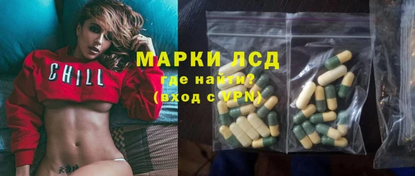 прущий лед Горняк