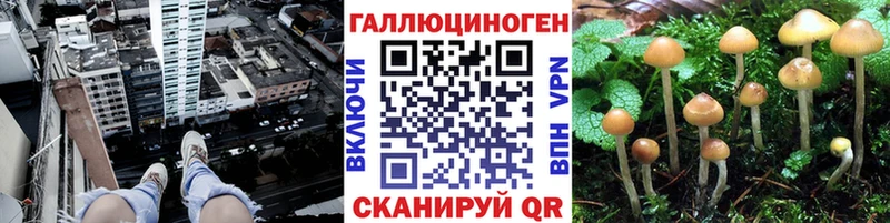 Галлюциногенные грибы GOLDEN TEACHER  купить наркотик  Прокопьевск 